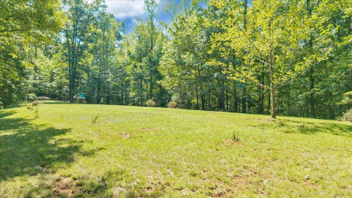181 Mobley Mountain RD - Photo 73