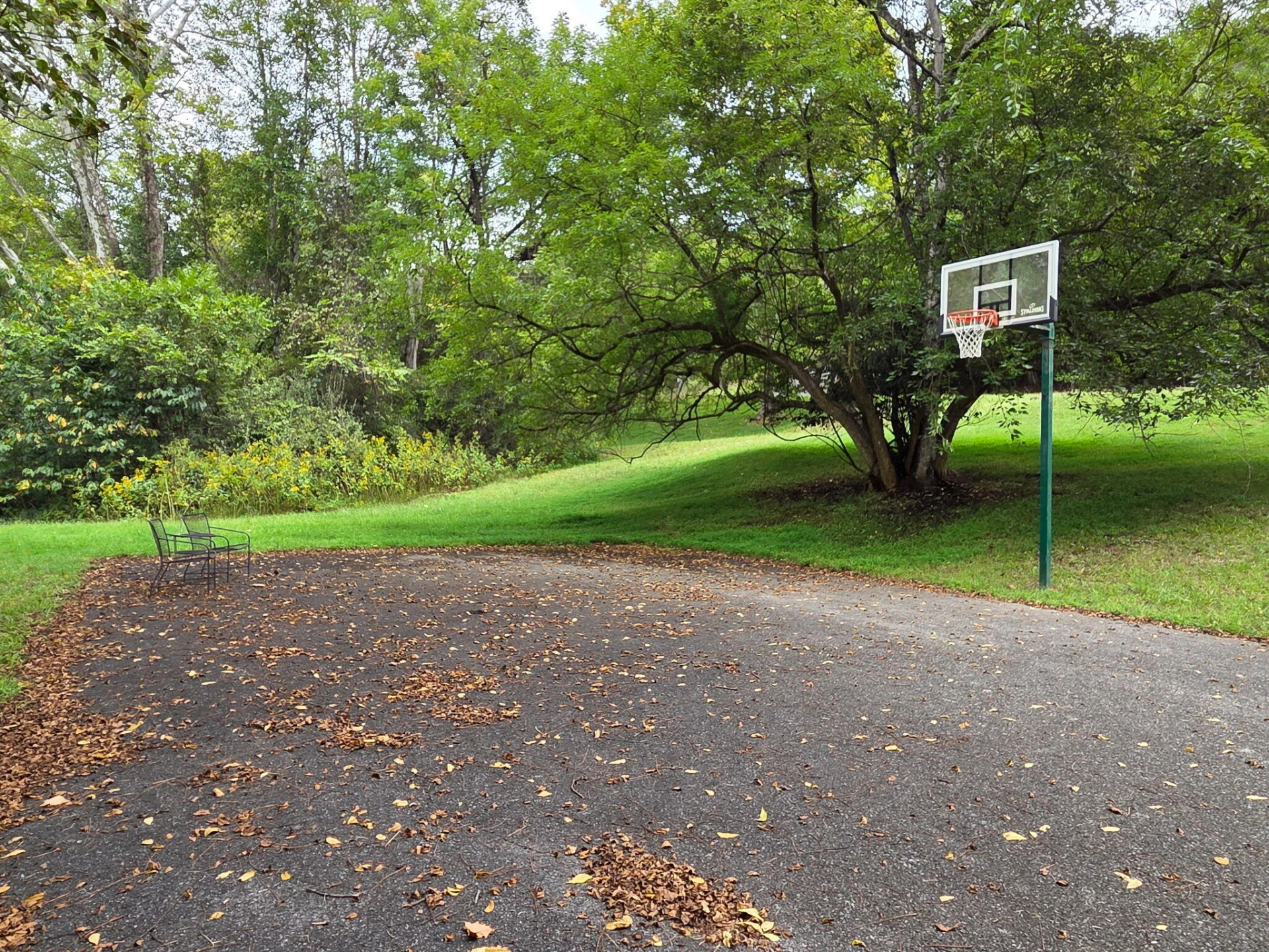 0 Old Post RD - Photo 5