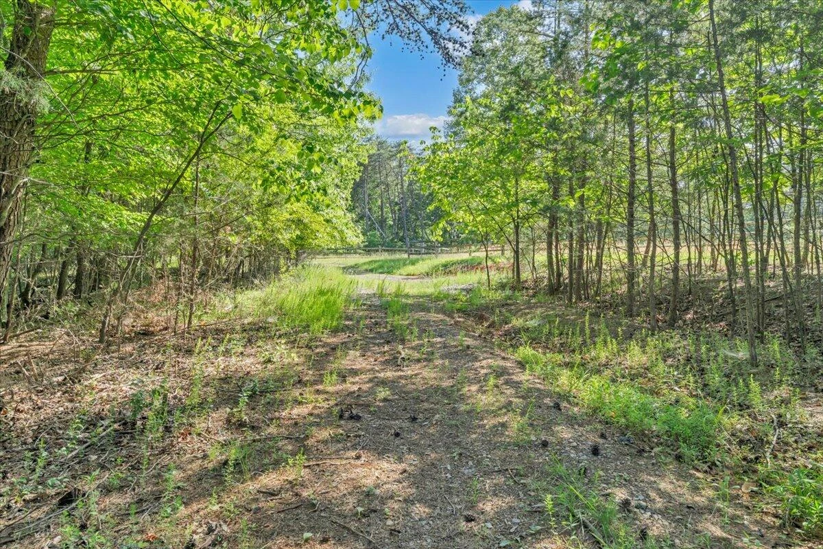 981 Bremble DR - Photo 20