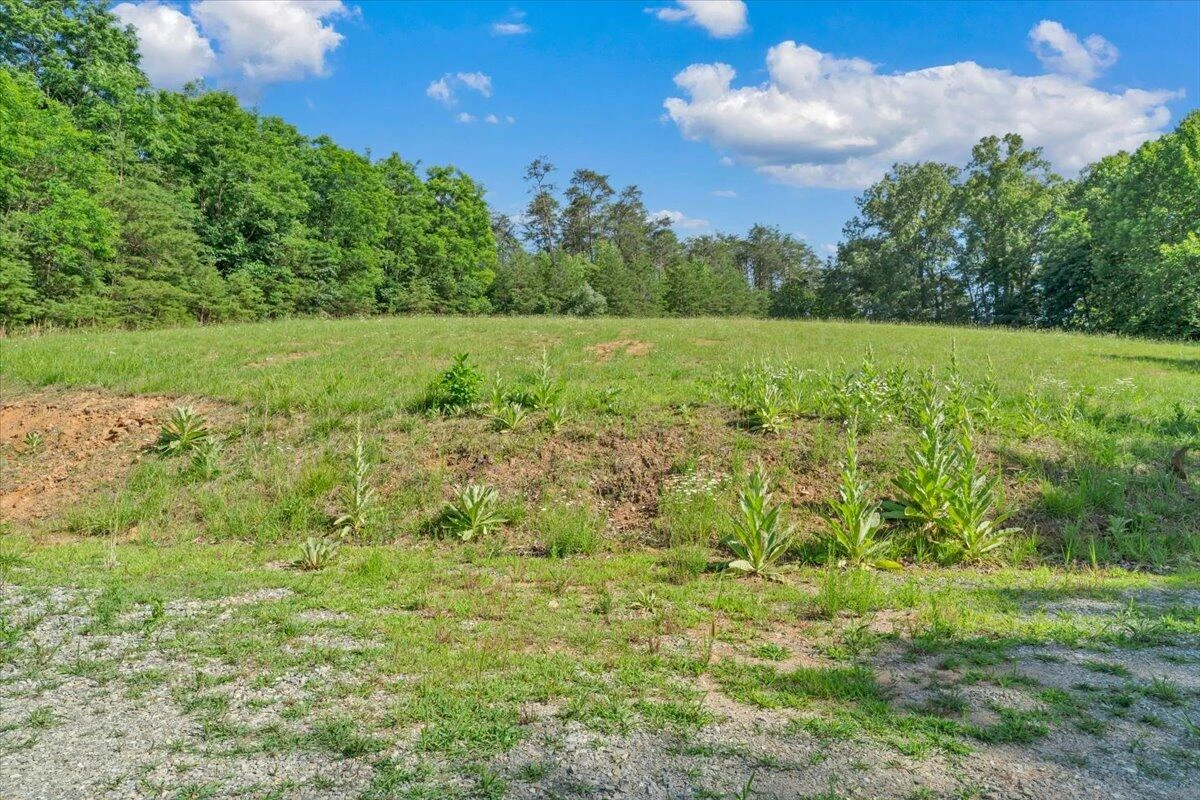 981 Bremble DR - Photo 23