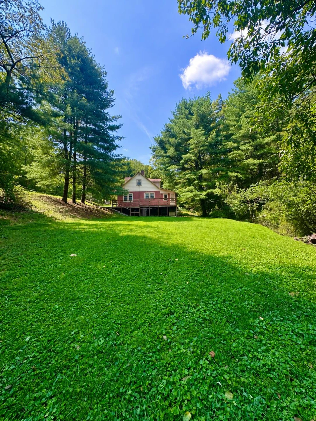 4201 McKinney Hollow RD - Photo 8