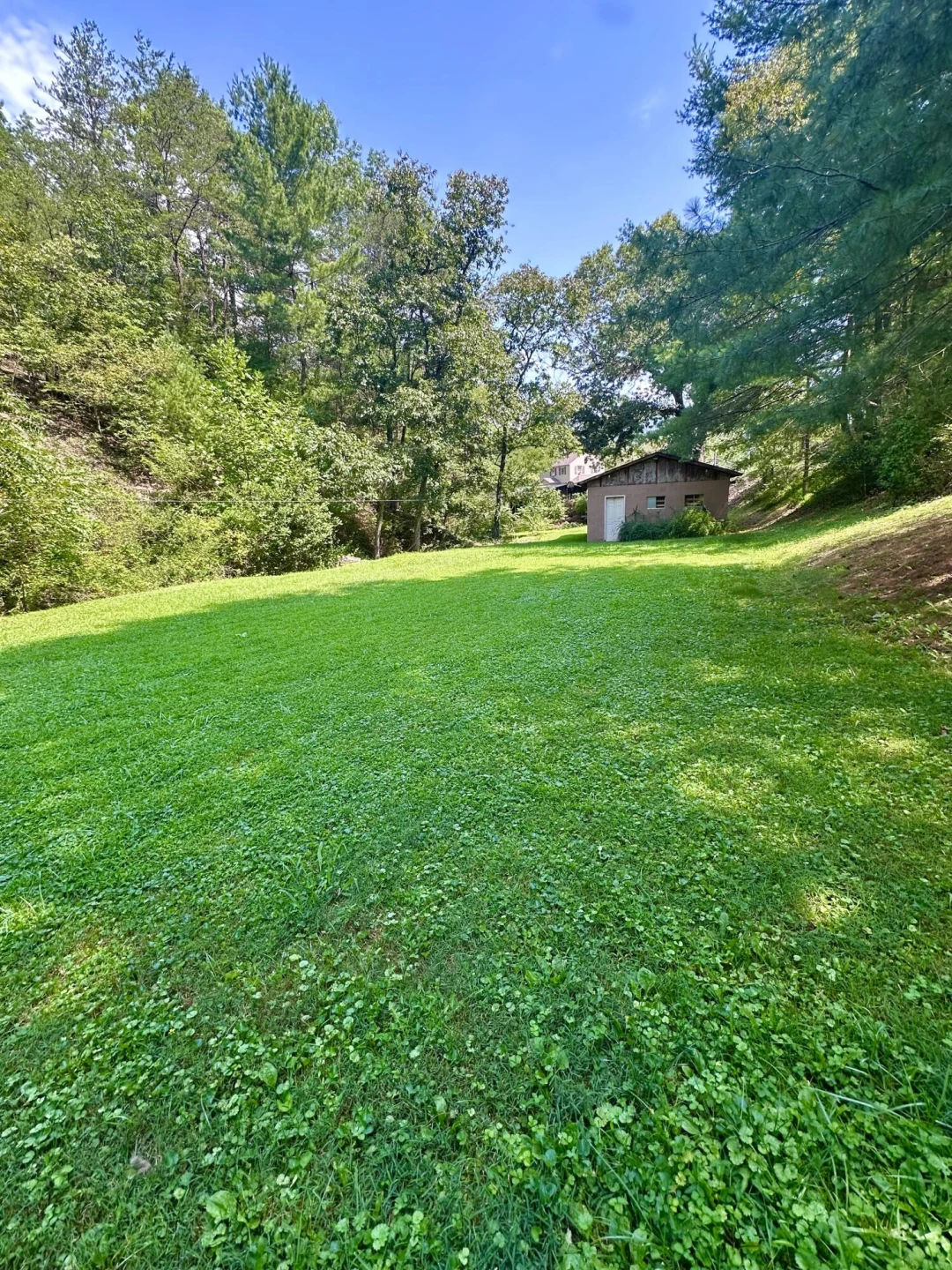 4201 McKinney Hollow RD - Photo 9