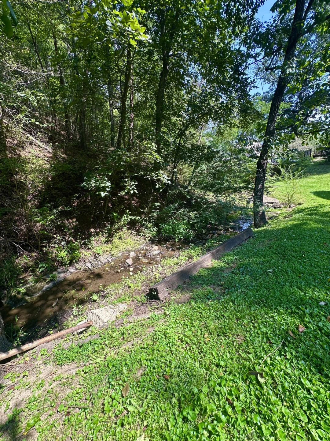 4201 McKinney Hollow RD - Photo 10