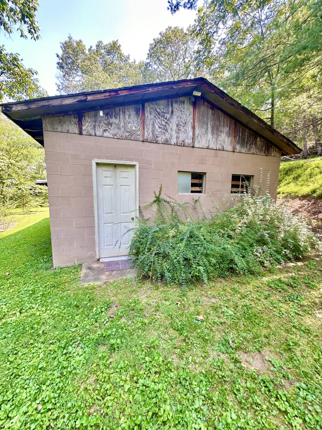 4201 McKinney Hollow RD - Photo 50