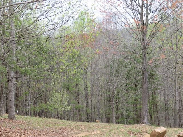Lot 13 Woodshire DR - Photo 2