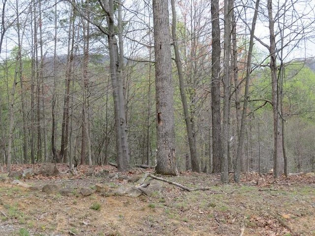 Lot 13 Woodshire DR - Photo 3