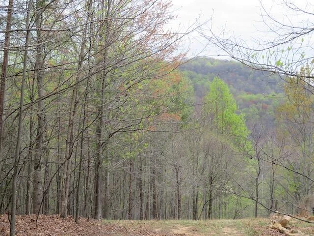 Lot 13 Woodshire DR - Photo 4