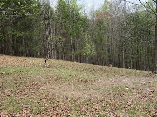 Lot 13 Woodshire DR - Photo 6