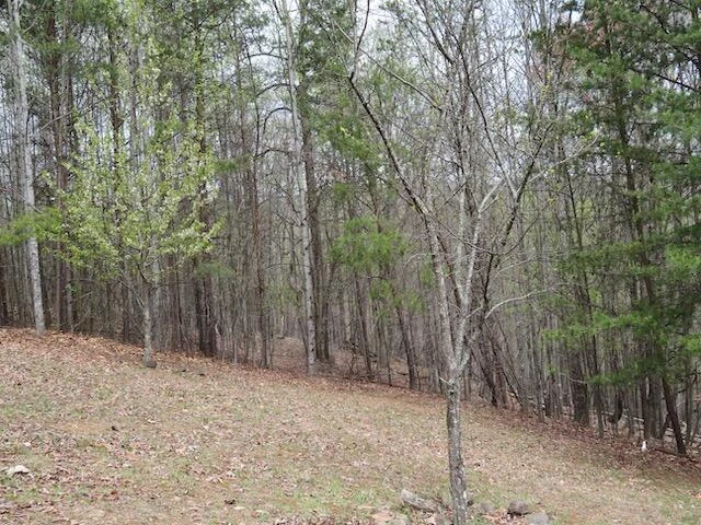 Lot 13 Woodshire DR - Photo 8