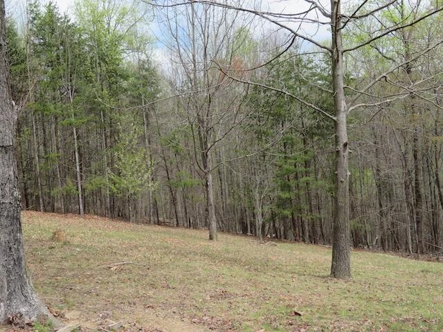 Lot 13 Woodshire DR - Photo 9
