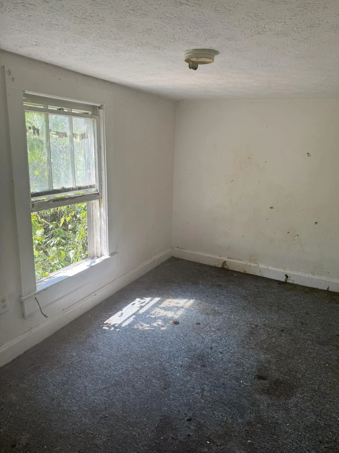 218 E Mallow RD - Photo 12