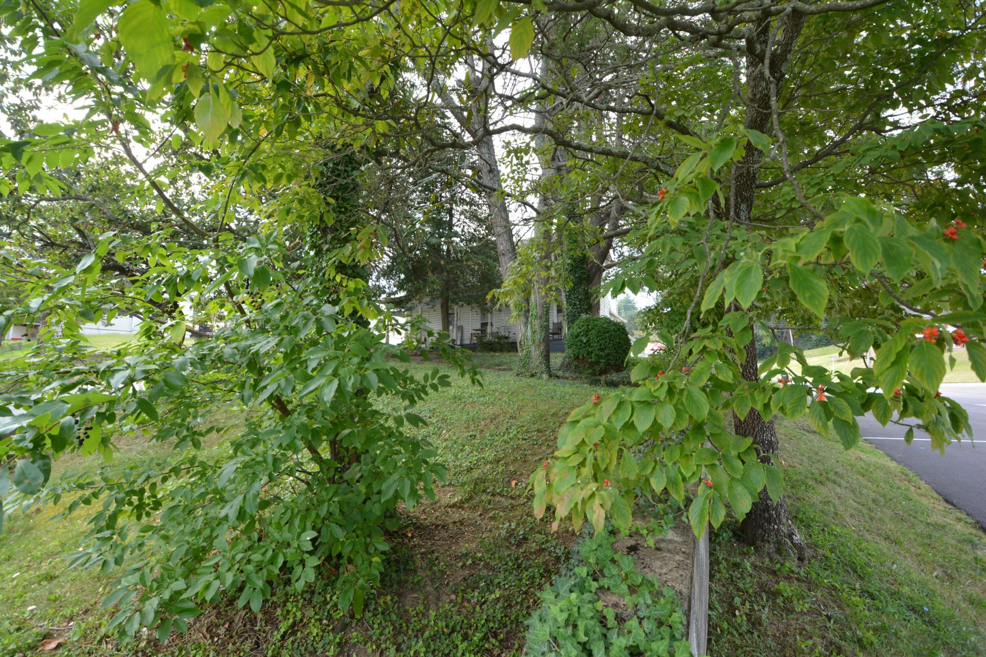 705 E Jackson AVE #& 709 - Photo 12