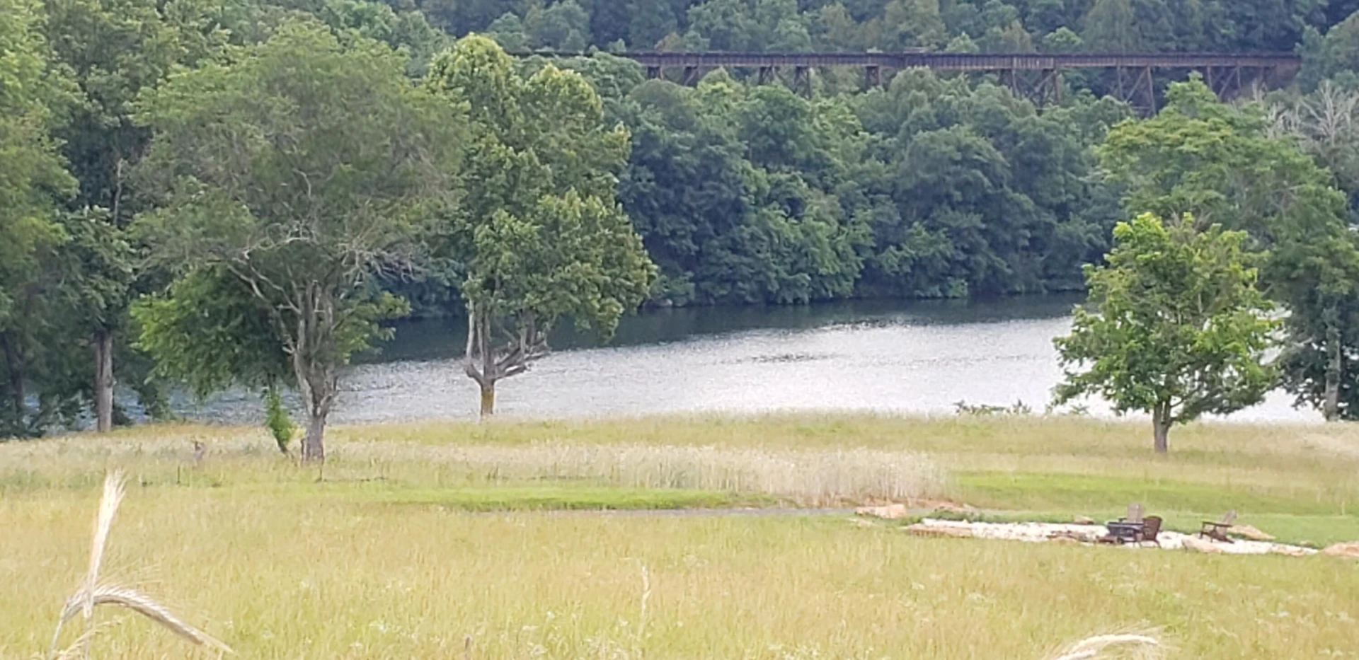 Lot 29 Moorman RD - Photo 3