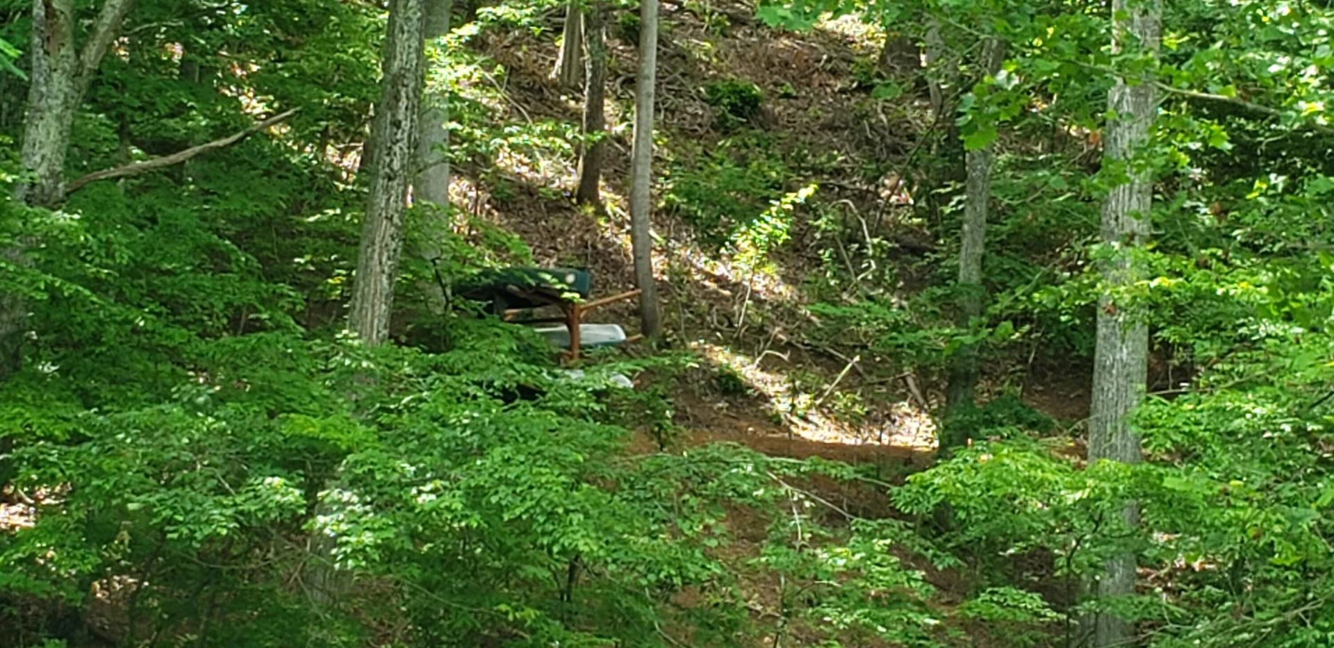 Lot 29 Moorman RD - Photo 5