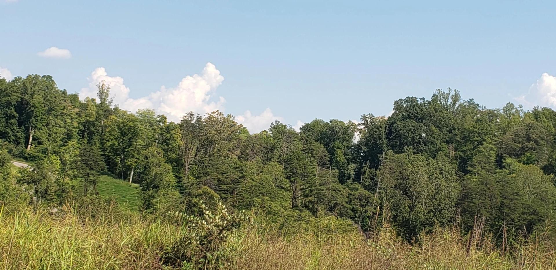 Lot 29 Moorman RD - Photo 9