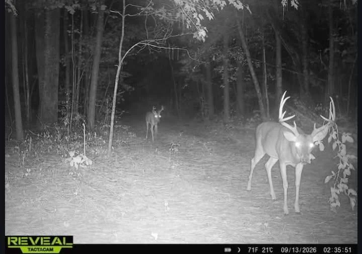 Lot 3 White House RD - Photo 3