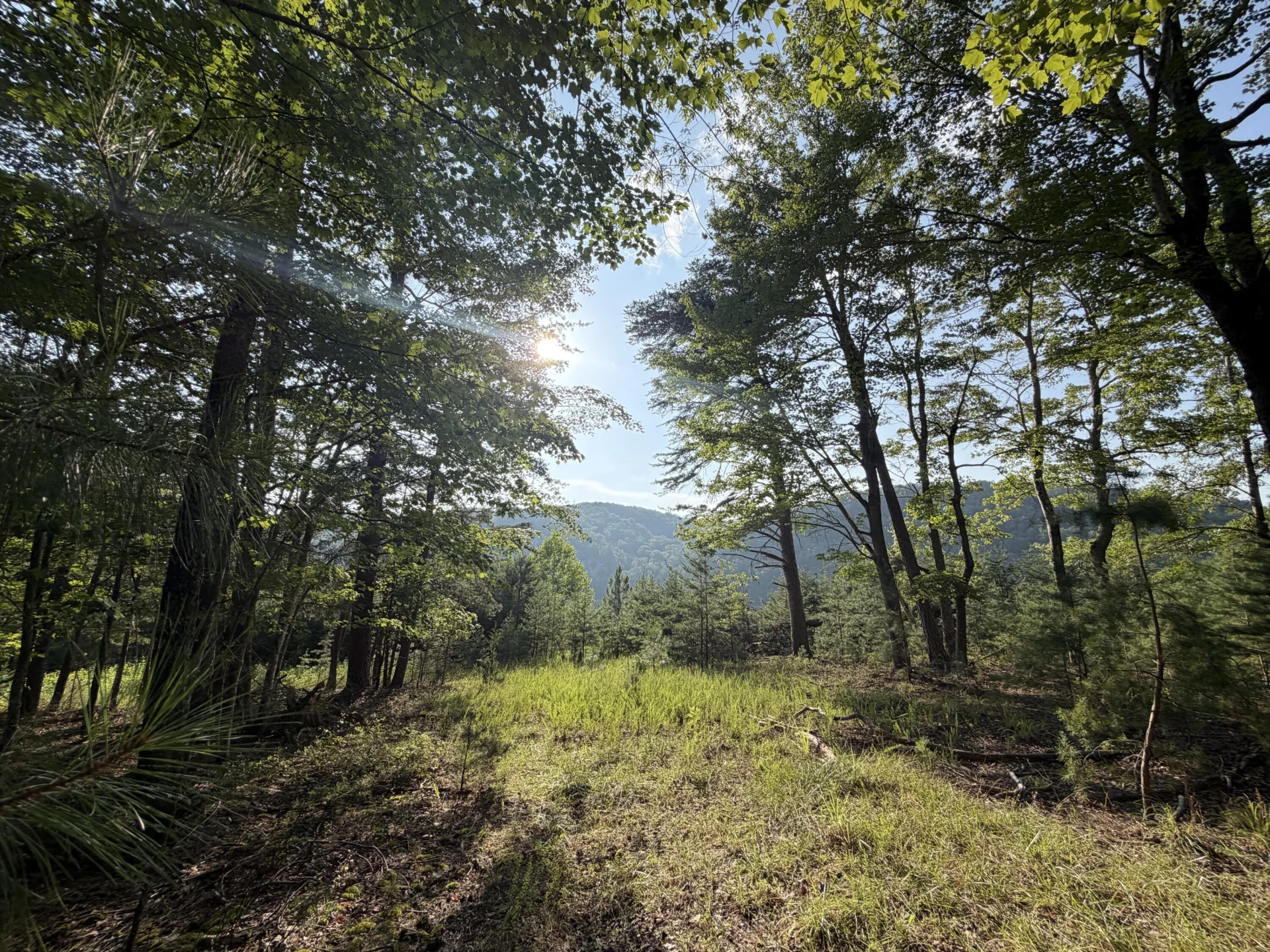 Lot 98A Greenberry DR - Photo 9