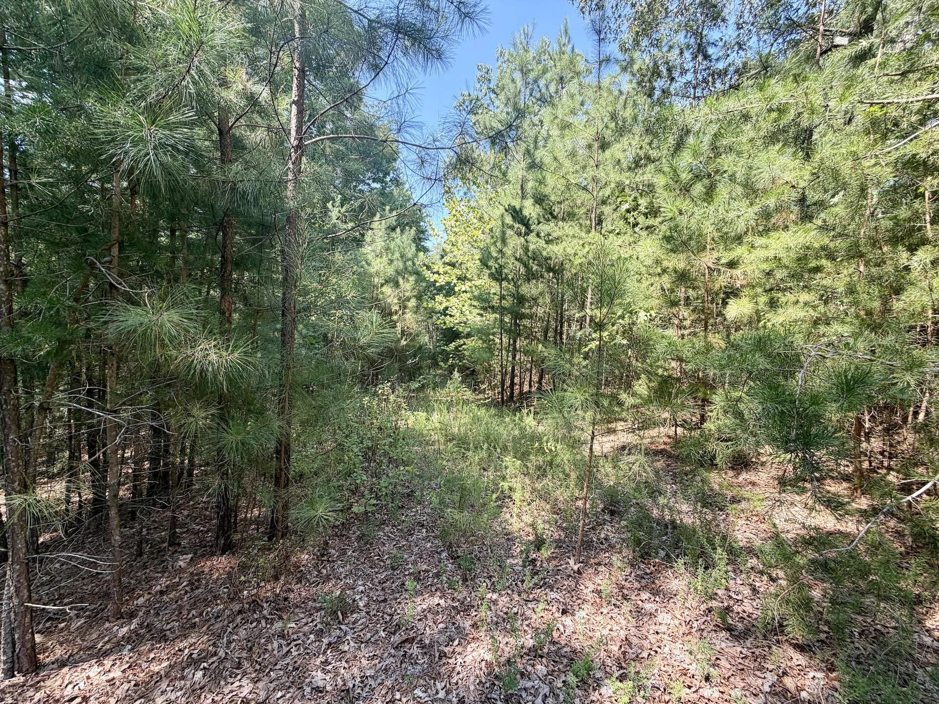 Lot 98A Greenberry DR - Photo 13
