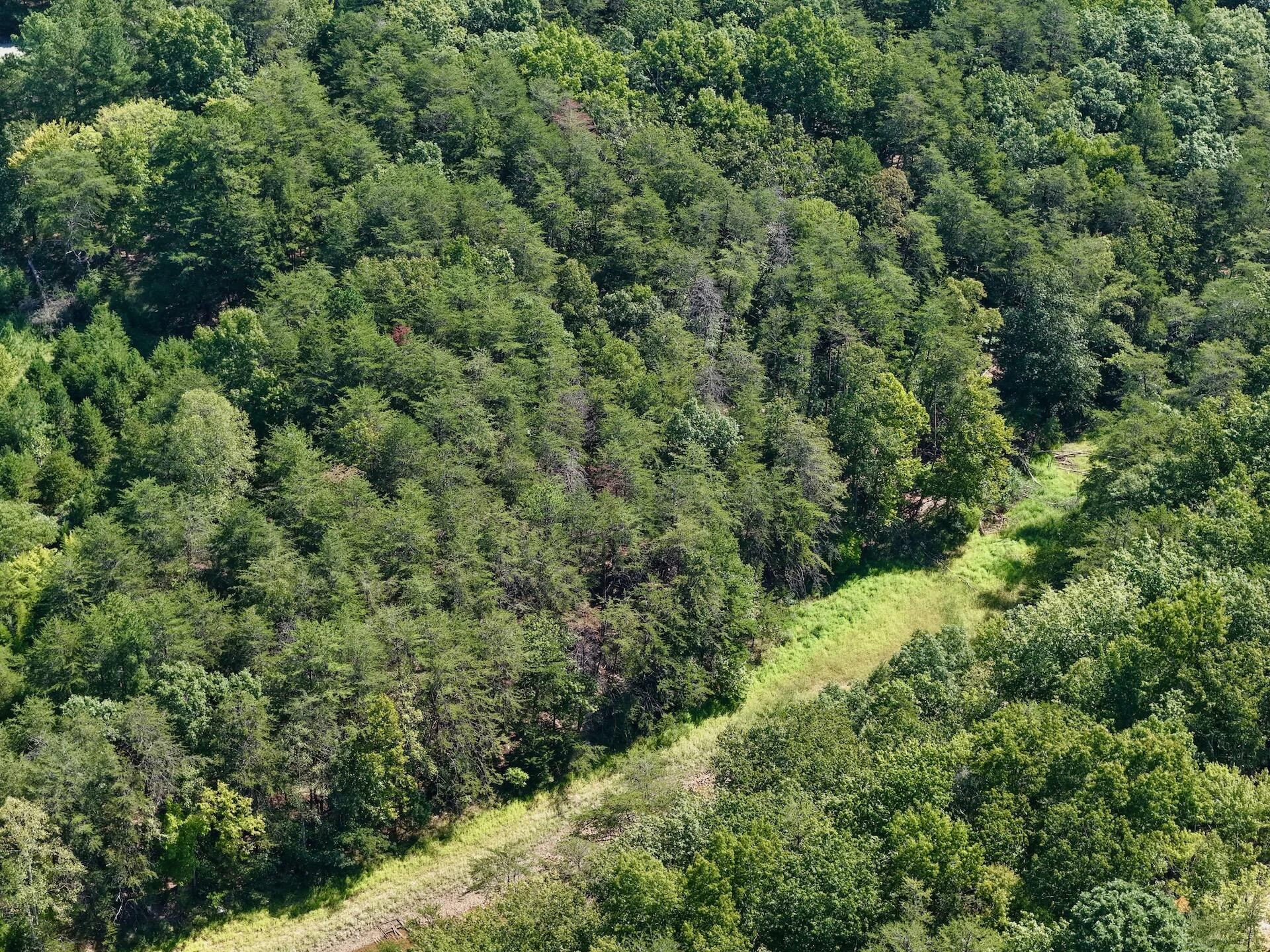 Lot 98A Greenberry DR - Photo 16