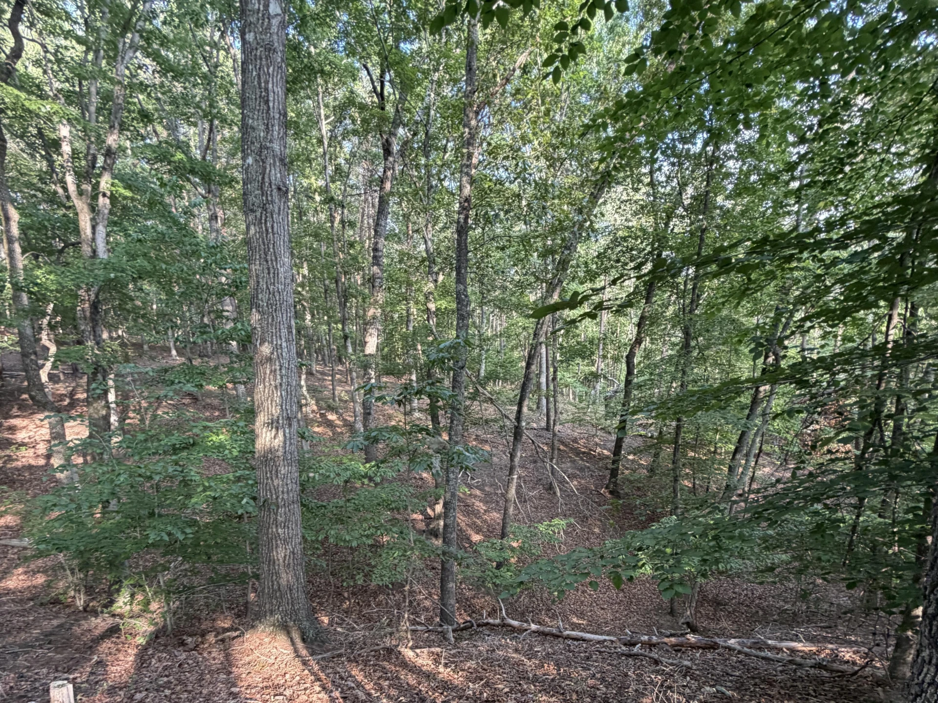 Lot 98A Greenberry DR - Photo 17