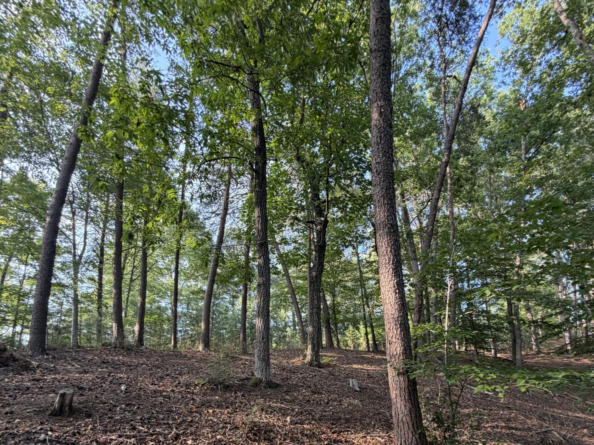 Lot 98A Greenberry DR - Photo 18