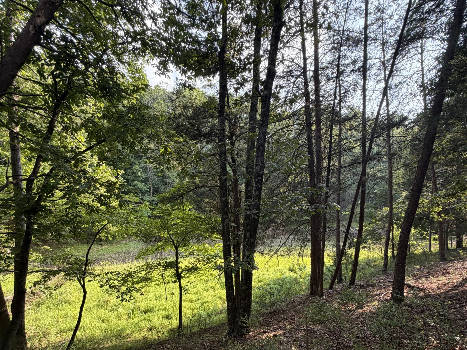 Lot 98A Greenberry DR - Photo 19