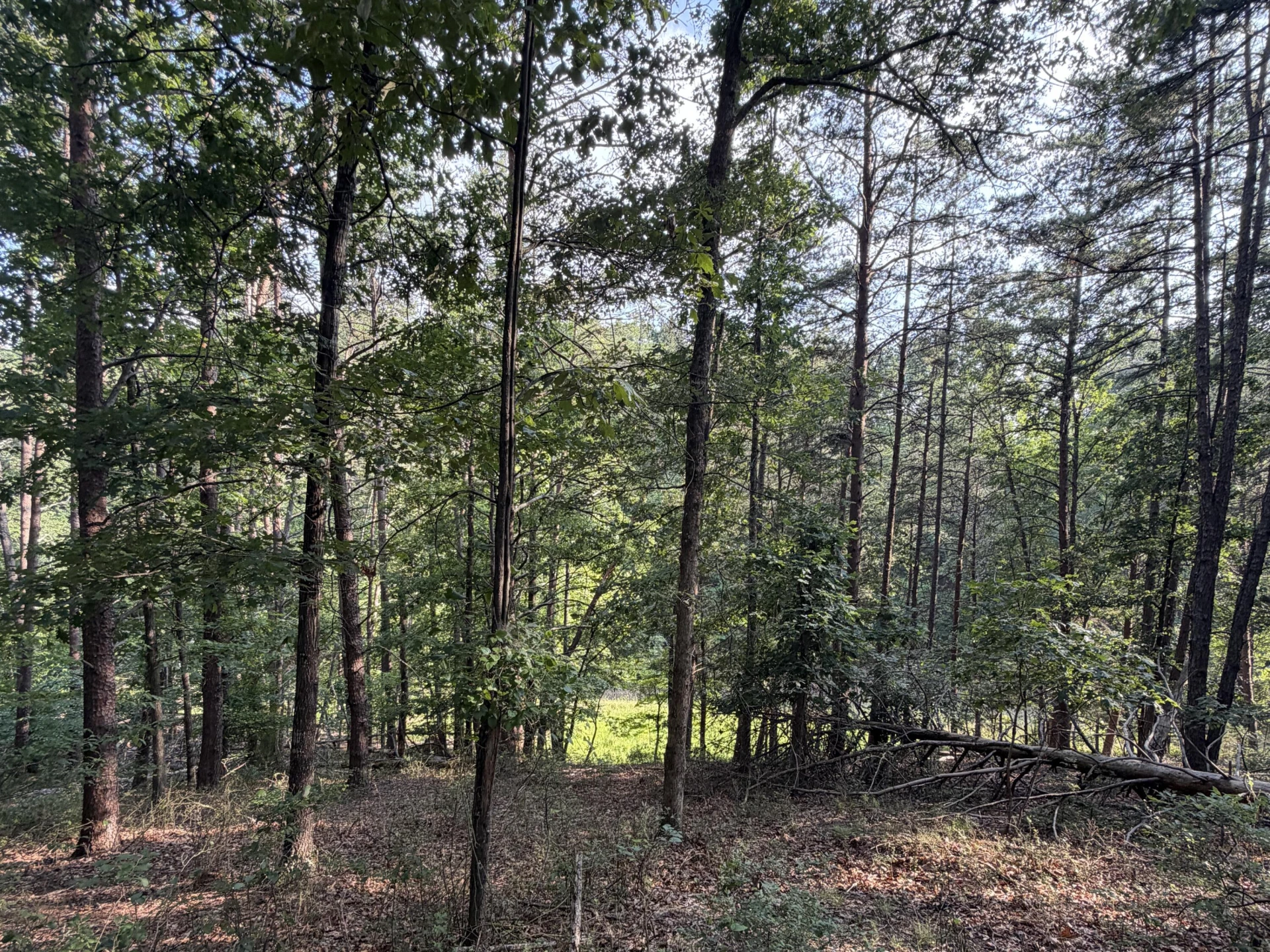 Lot 98A Greenberry DR - Photo 20