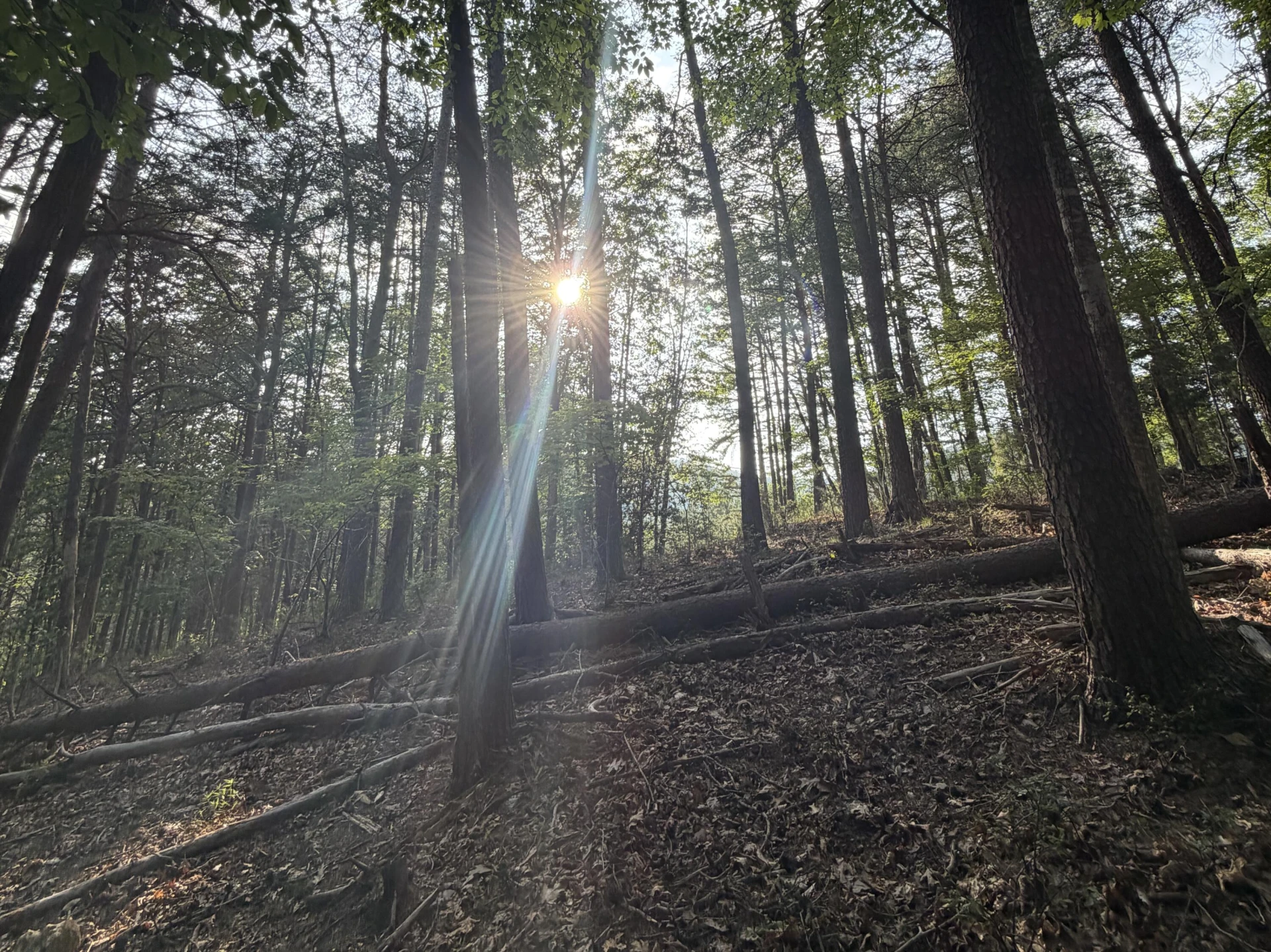 Lot 98A Greenberry DR - Photo 22