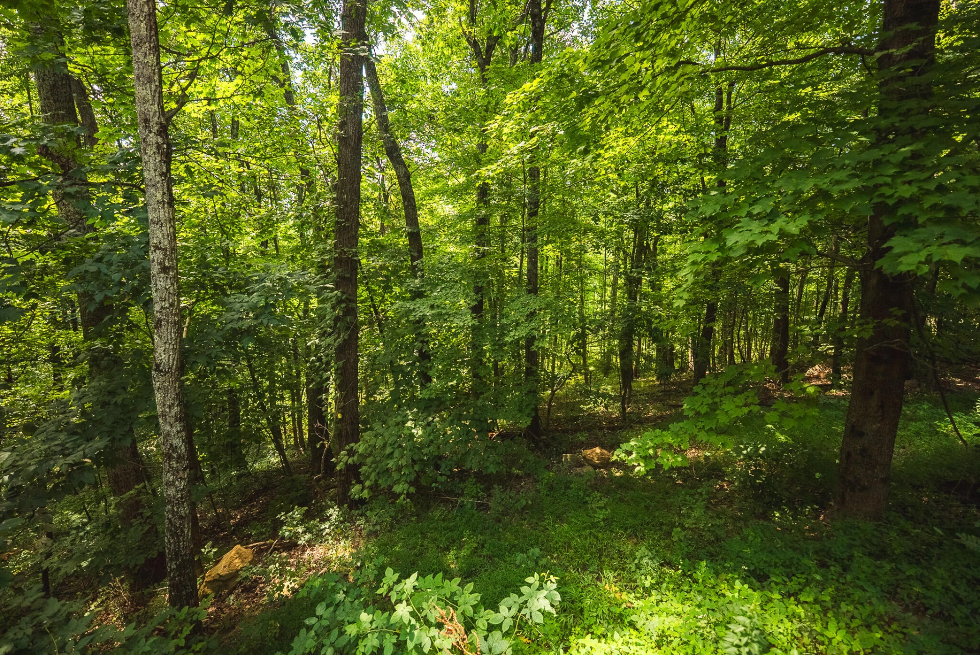 8535 Willett LN - Photo 40