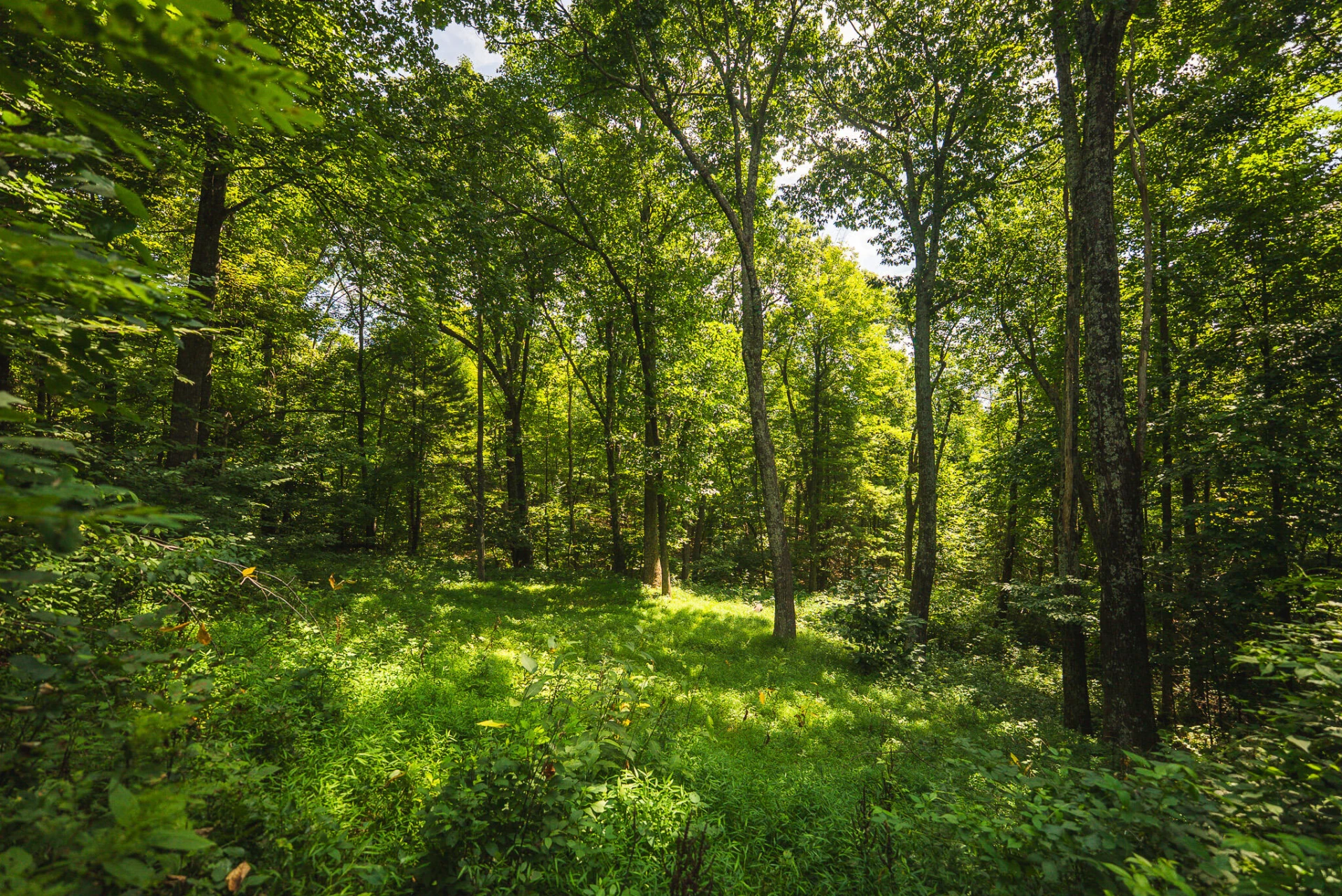 8535 Willett LN - Photo 41