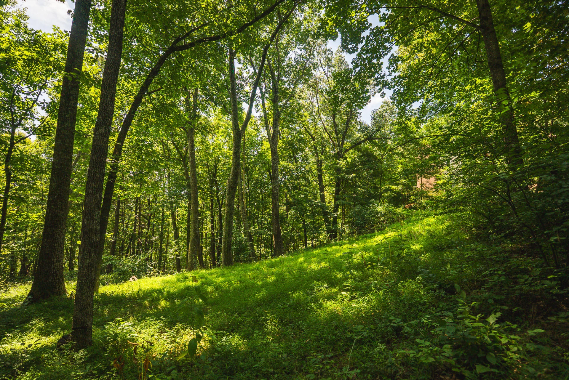 8535 Willett LN - Photo 43