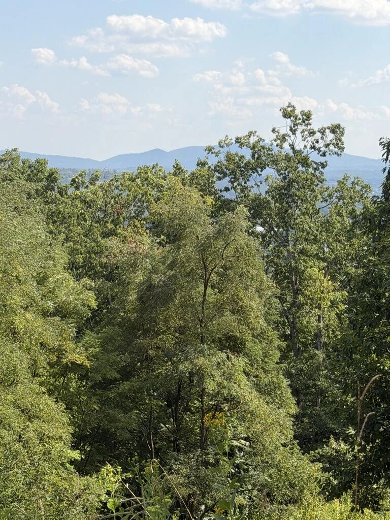 2428 Coachman DR - Photo 2