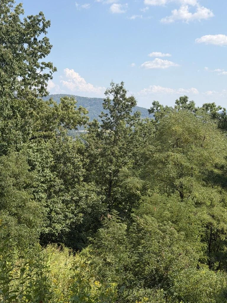 2428 Coachman DR - Photo 3