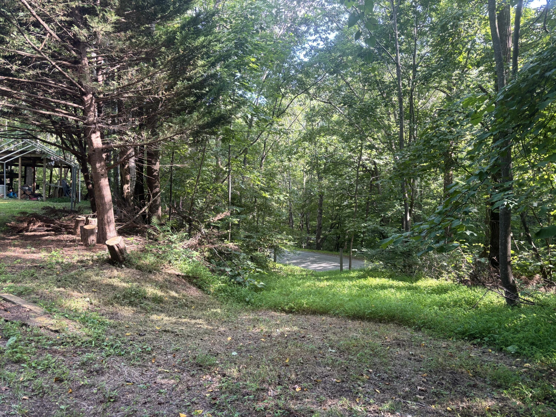 2555 Shooting Creek RD - Photo 14