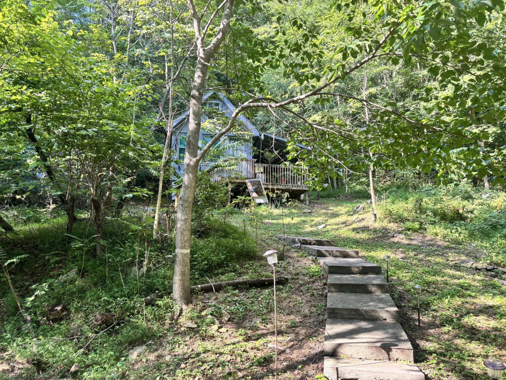 2555 Shooting Creek RD - Photo 16