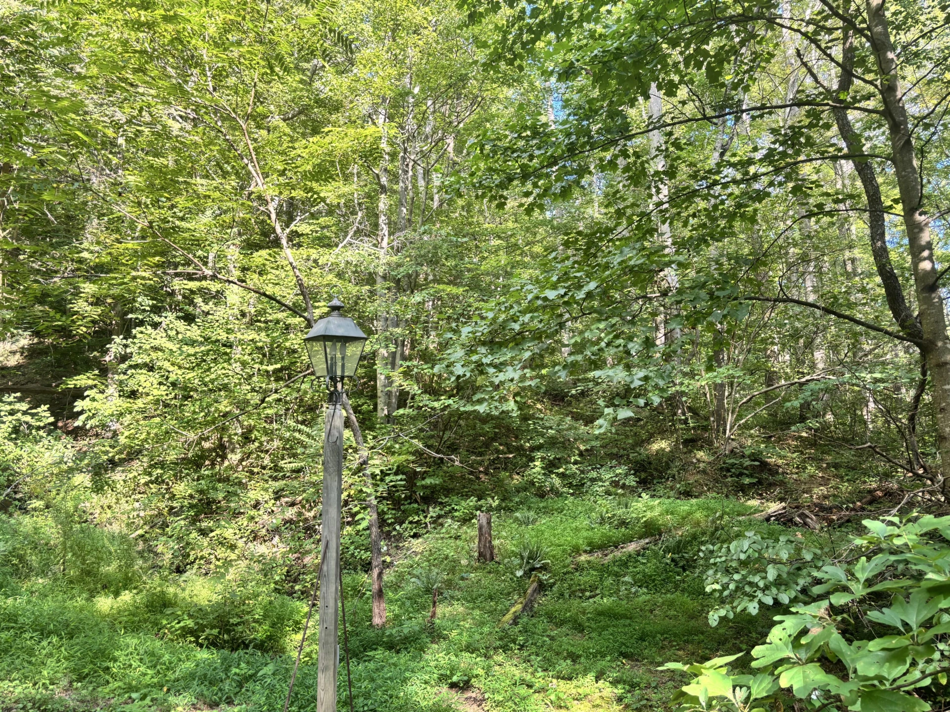 2555 Shooting Creek RD - Photo 17