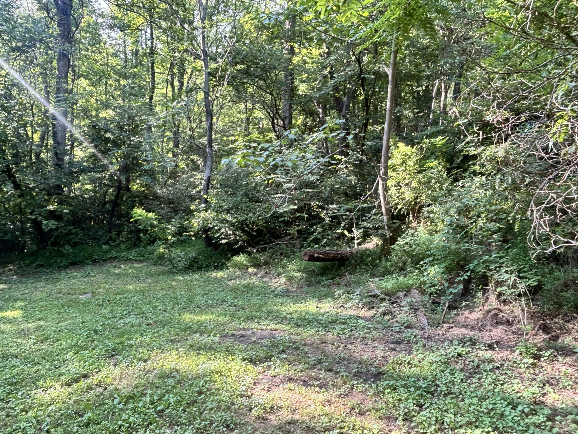2555 Shooting Creek RD - Photo 18