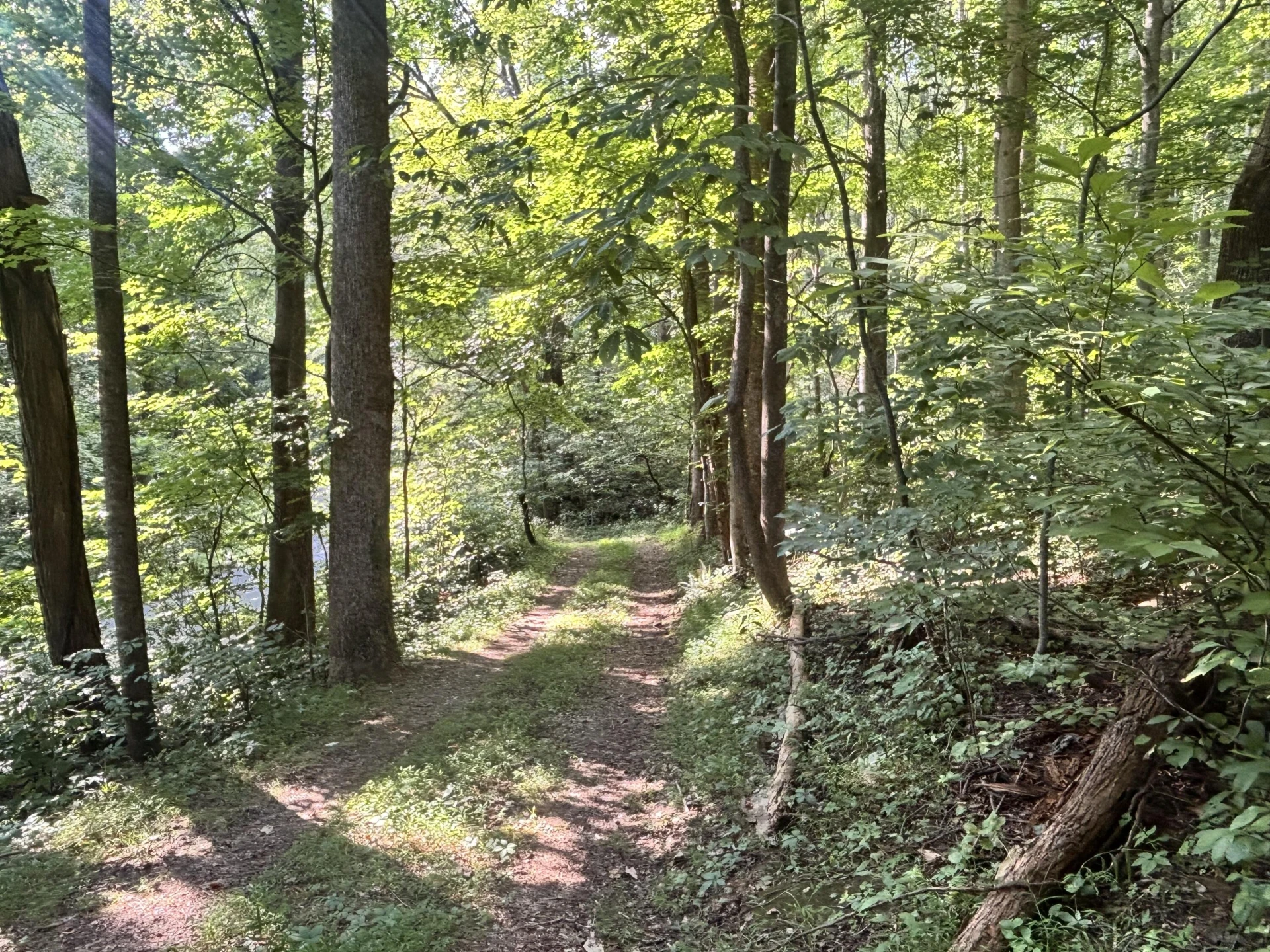 2555 Shooting Creek RD - Photo 19