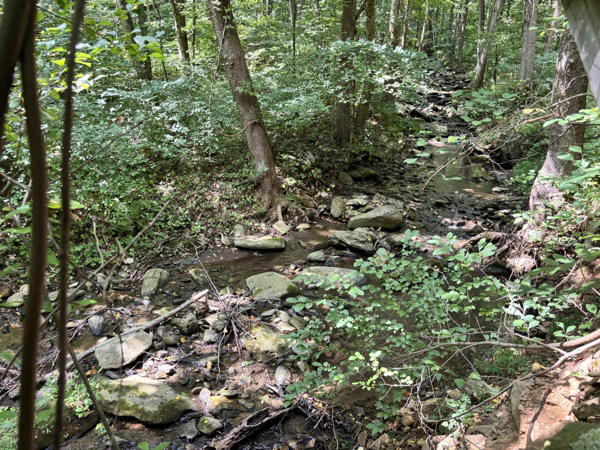 2555 Shooting Creek RD - Photo 21