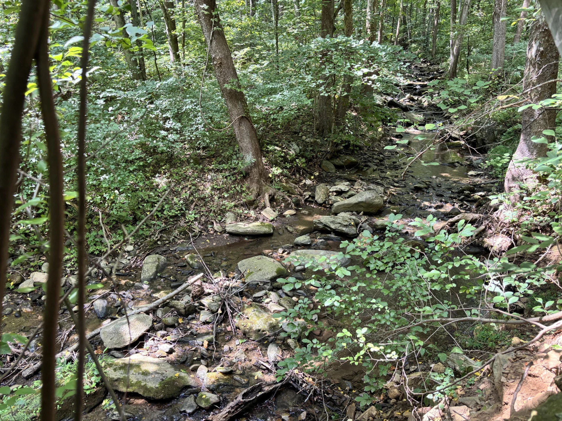 2555 Shooting Creek RD - Photo 22