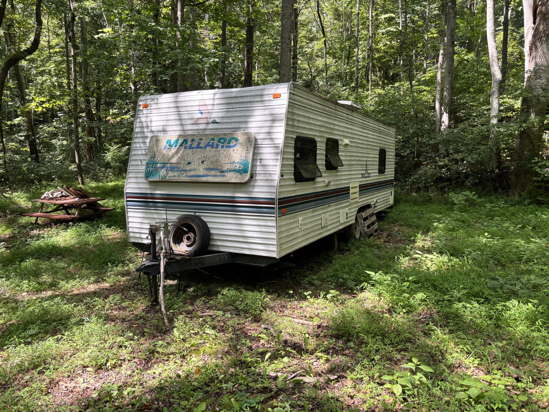 2555 Shooting Creek RD - Photo 23