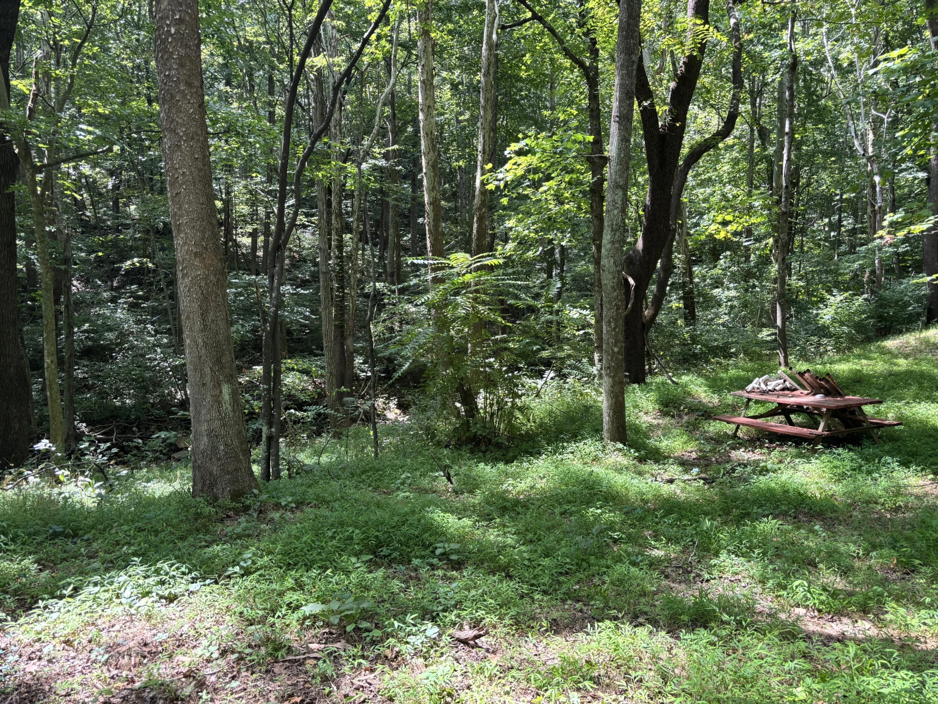 2555 Shooting Creek RD - Photo 25