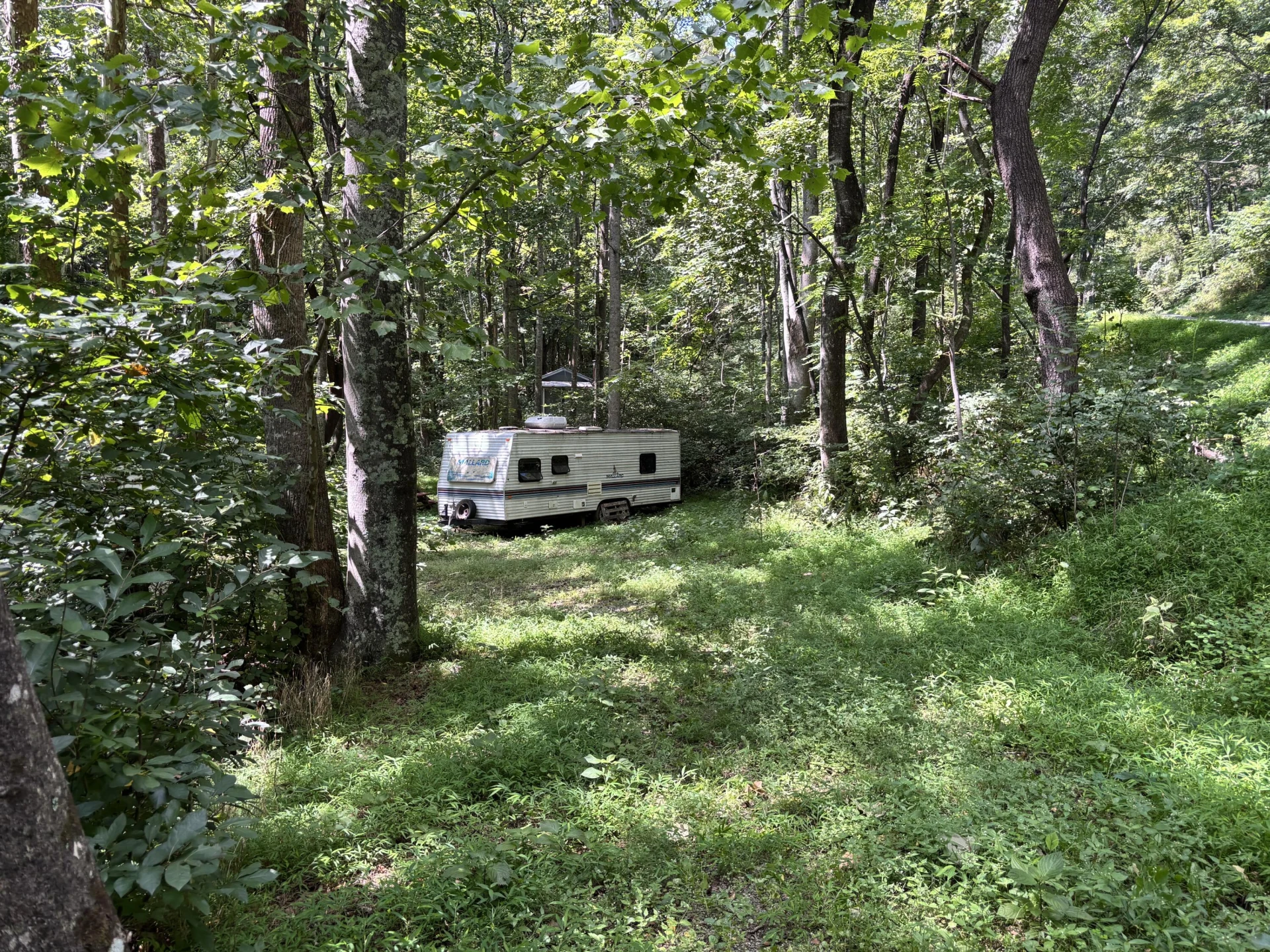 2555 Shooting Creek RD - Photo 27