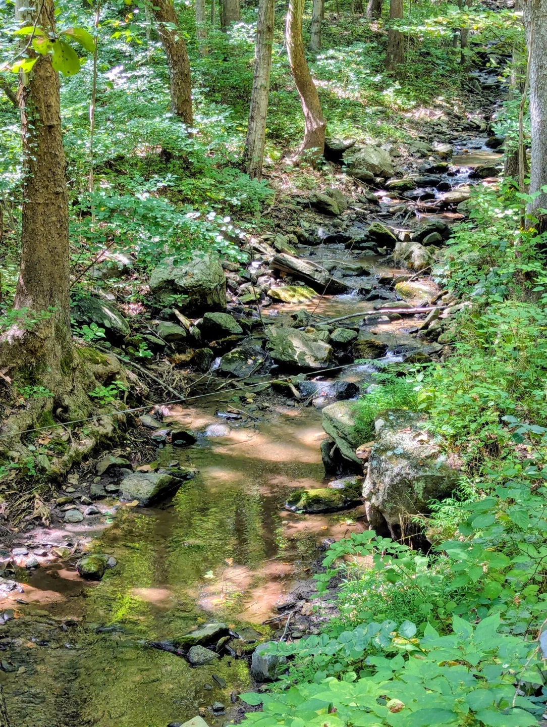 2555 Shooting Creek RD - Photo 30