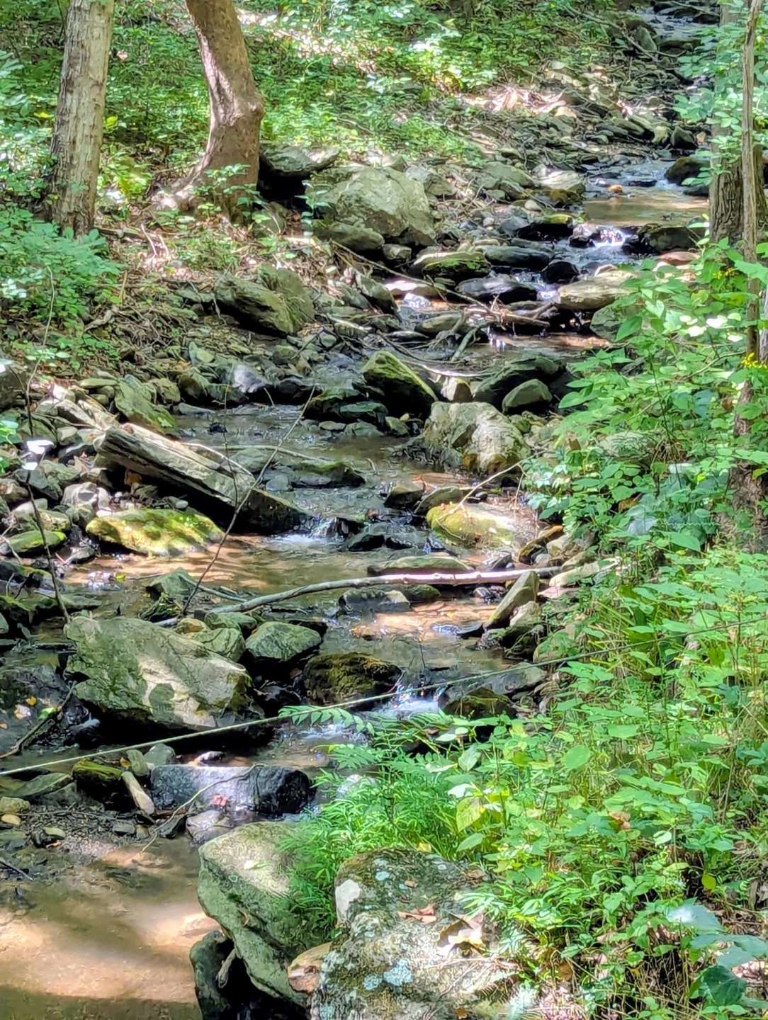 2555 Shooting Creek RD - Photo 31