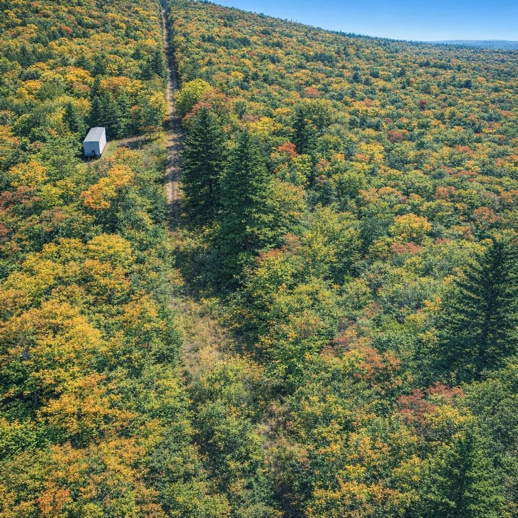 00 McDearmon RD - Photo 3