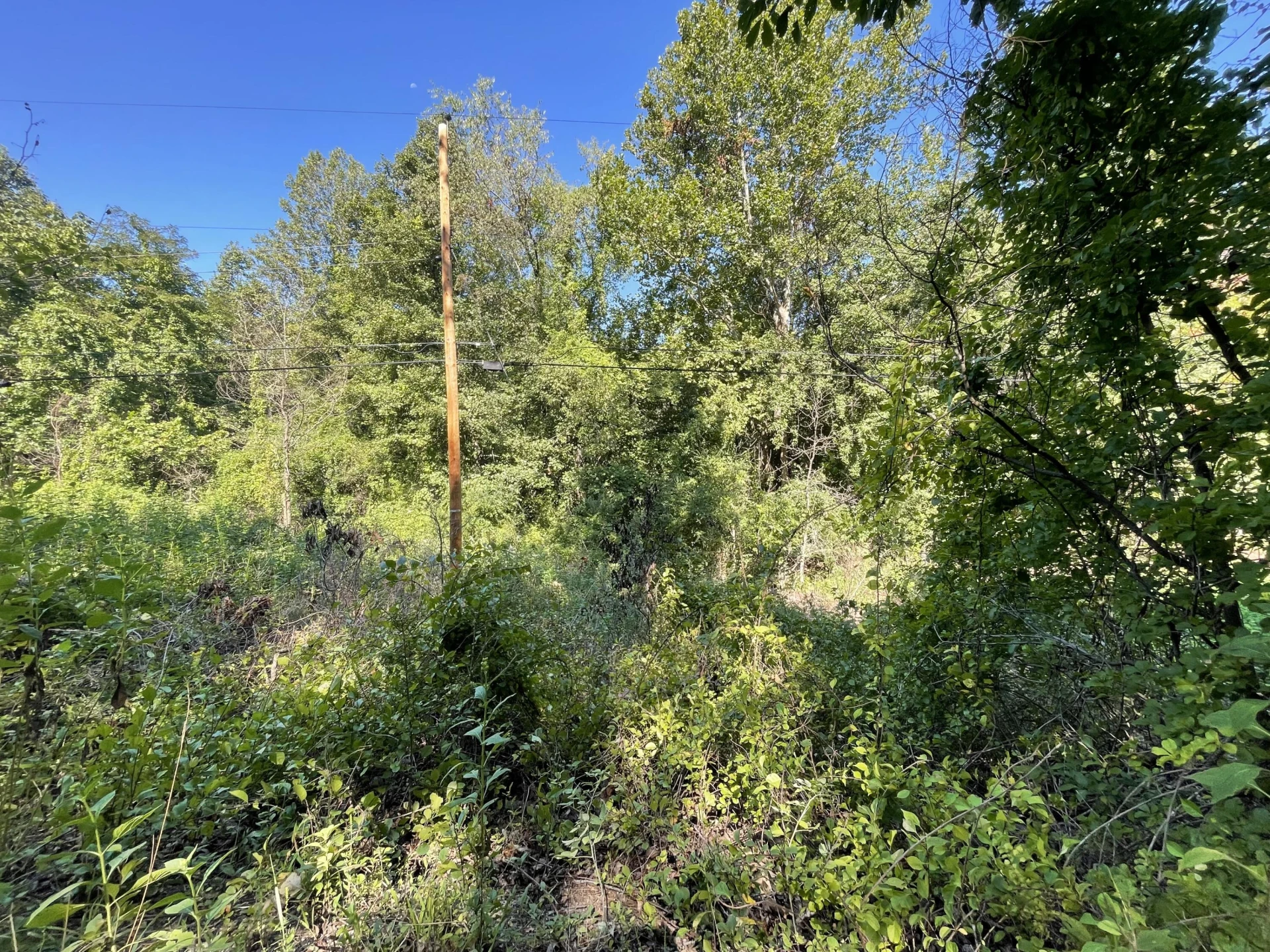 00 McDearmon RD - Photo 5