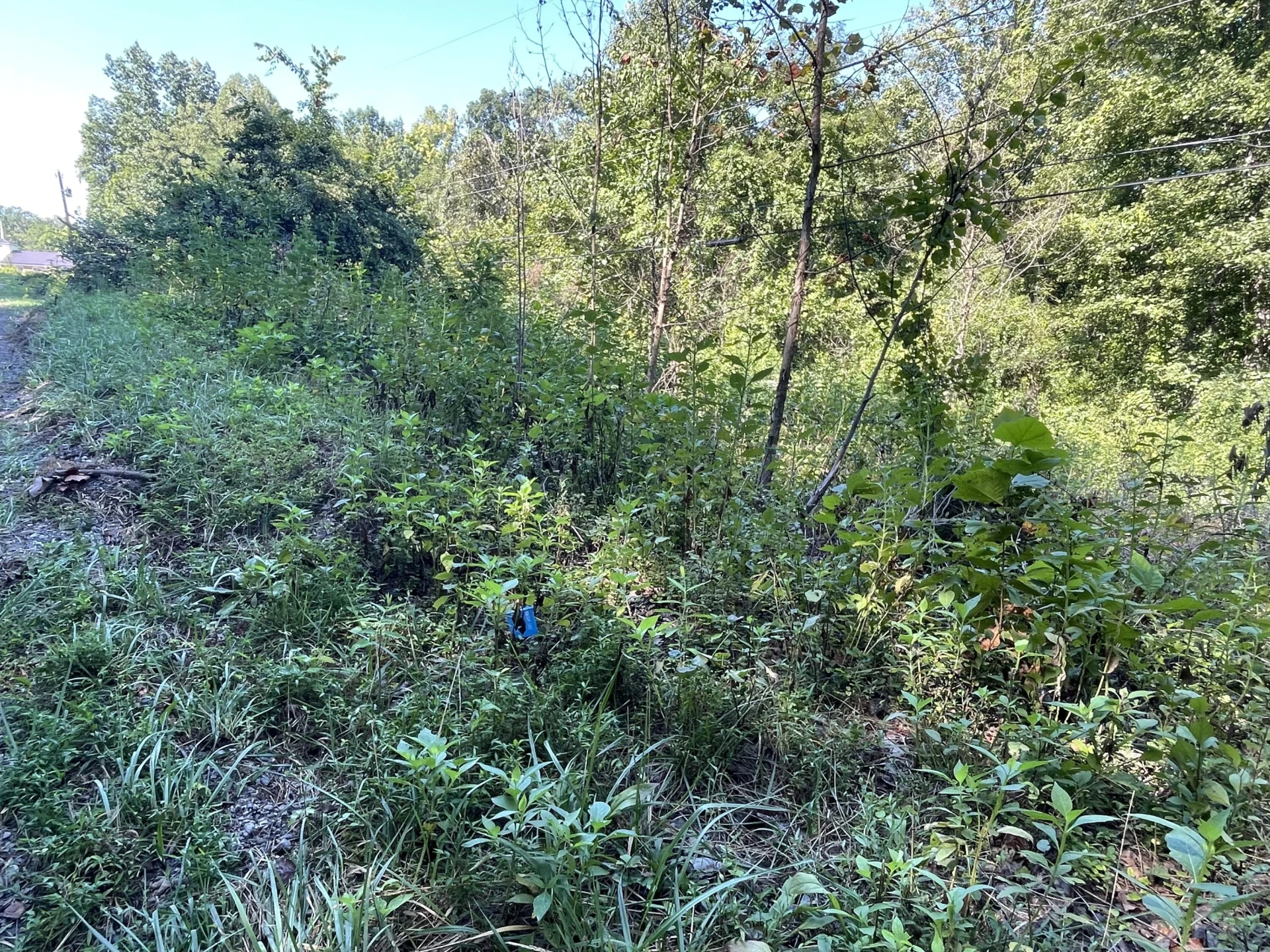 00 McDearmon RD - Photo 7