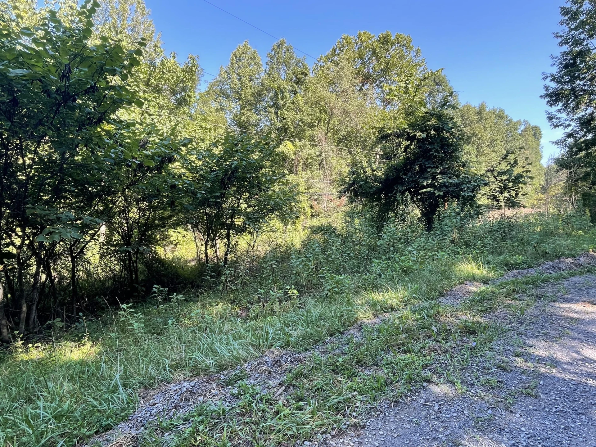 00 McDearmon RD - Photo 9