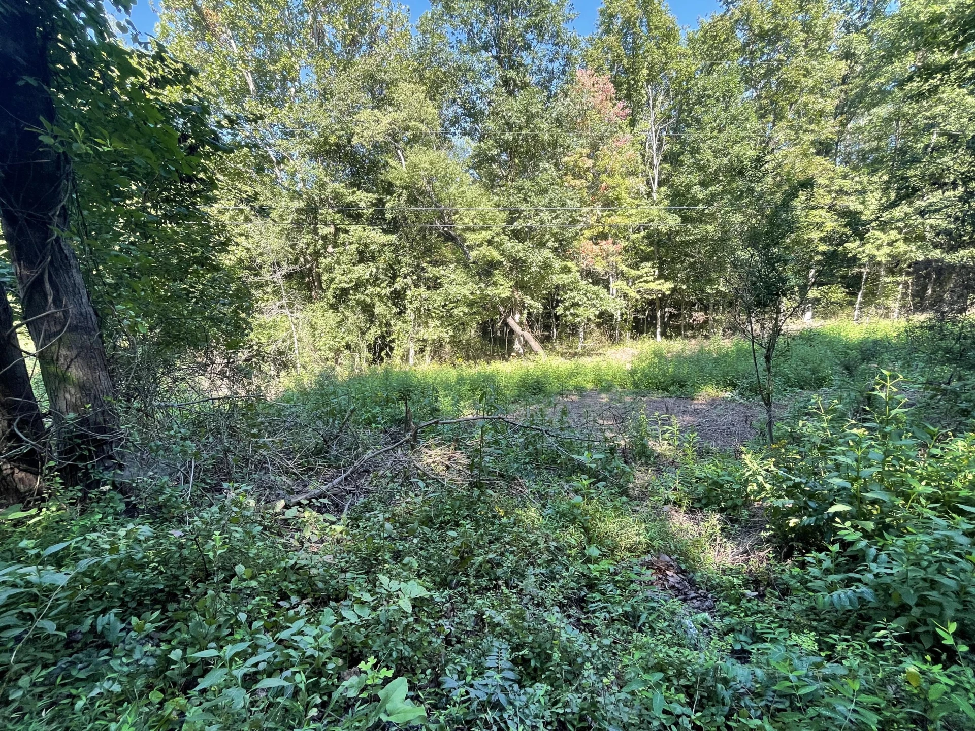 00 McDearmon RD - Photo 11